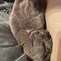 Thumbnail photo of Melvin #2