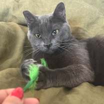 Thumbnail photo of Agnes #1