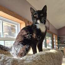 Thumbnail photo of Boop #1