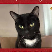 Thumbnail photo of Rascal #1