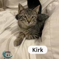 Thumbnail photo of Kirk! #2