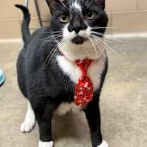 Thumbnail photo of Zack #1