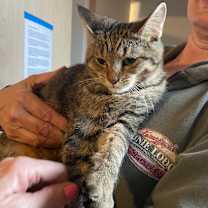 Thumbnail photo of Breeze #3