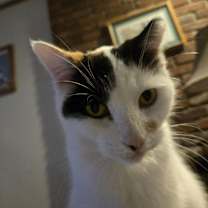 Thumbnail photo of Ember #2