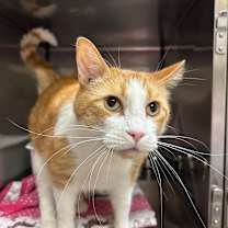 Thumbnail photo of Kellan #2