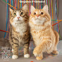 Thumbnail photo of Benjamin #3