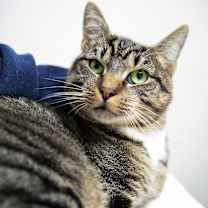 Thumbnail photo of Monchi #2