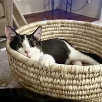 Thumbnail photo of Potter #3