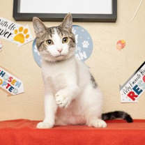 Thumbnail photo of Tater #1