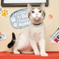 Thumbnail photo of Tater #2