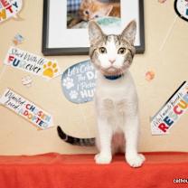 Thumbnail photo of Tater #3