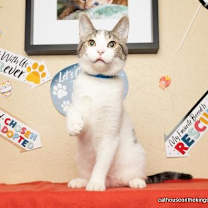 Thumbnail photo of Tater #4