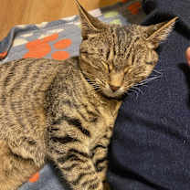 Thumbnail photo of Rosalind #2