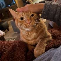 Thumbnail photo of Walker #2