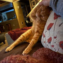 Thumbnail photo of Walker #3