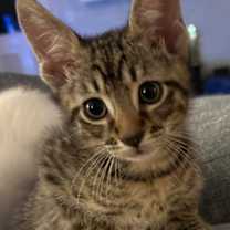 Thumbnail photo of Heath #1