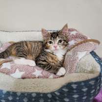 Thumbnail photo of Monet #1