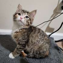 Thumbnail photo of Monet #2