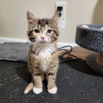 Thumbnail photo of Monet #3