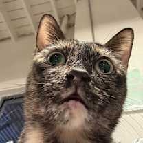 Thumbnail photo of Winnifred #3