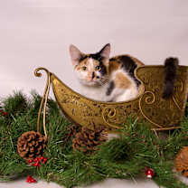 Thumbnail photo of Elaine #1