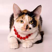 Thumbnail photo of Elaine #2