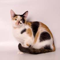 Thumbnail photo of Elaine #3