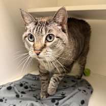 Thumbnail photo of Katy Grace (Kate) #3