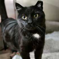 Thumbnail photo of Stan #1