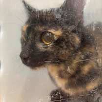 Thumbnail photo of 12/12 #2