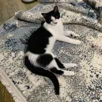 Thumbnail photo of Destiny #1