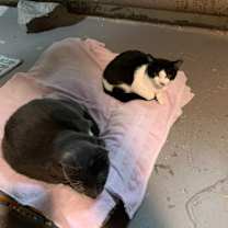 Thumbnail photo of Destiny #2