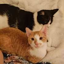 Thumbnail photo of Fishbreath #1