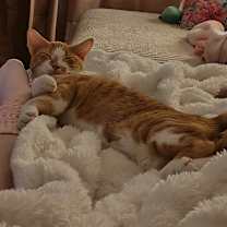 Thumbnail photo of Fishbreath #2