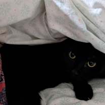 Thumbnail photo of Flash #1