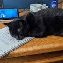 Thumbnail photo of Flash #2