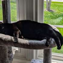 Thumbnail photo of Flash #3