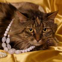 Thumbnail photo of Hillary #2