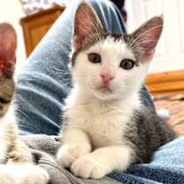 Thumbnail photo of Elsa #3