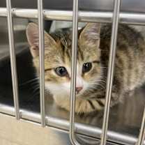 Thumbnail photo of Carol #1