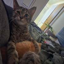 Thumbnail photo of April #2