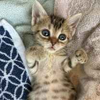 Thumbnail photo of Drunk Uncle #1