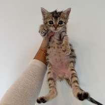 Thumbnail photo of Drunk Uncle #4