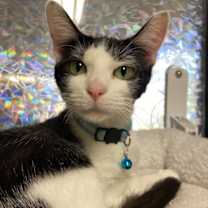 Thumbnail photo of Lois #1