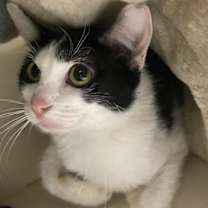 Thumbnail photo of Lois #3