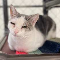 Thumbnail photo of Deran #2