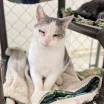 Thumbnail photo of Deran #3