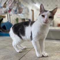 Thumbnail photo of Deran #4