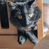 Thumbnail photo of Prince Zuko #1