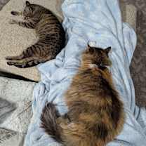 Thumbnail photo of Diana #4